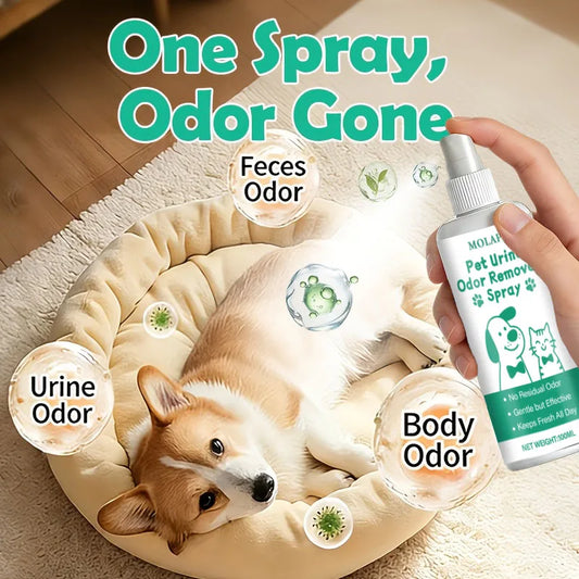 Pet Urine Stain Deodorizer Spray - Effective Odor Remove