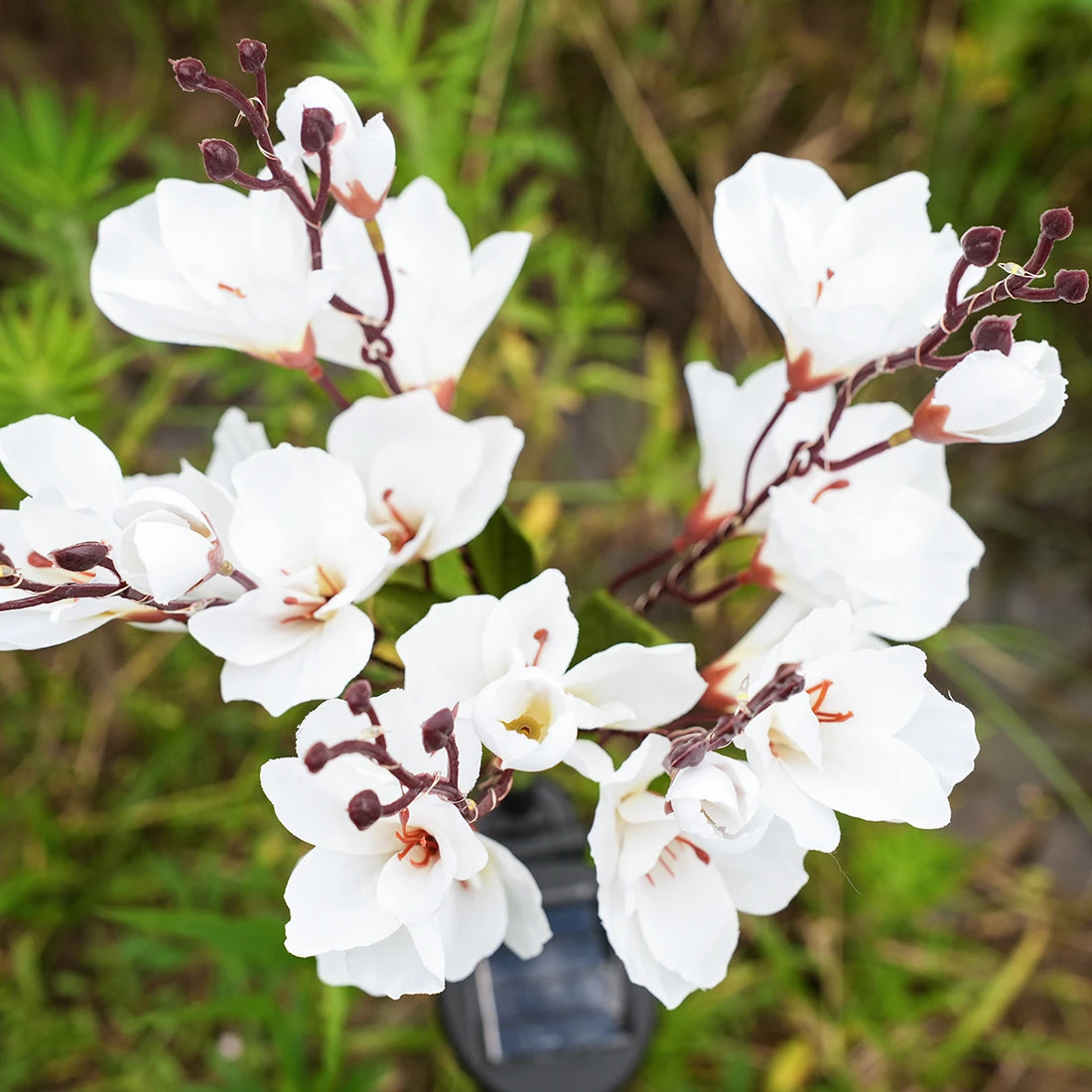 Solar powered magnolia, outdoor waterproof, suitable for decorating Christmas gardens with solar powered LED holiday lights