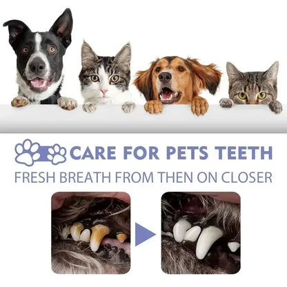 Pet Teeth Cleaning Spray Oral Care Remove Tooth Stai