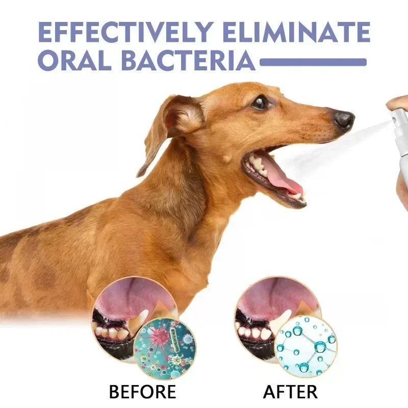Pet Teeth Cleaning Spray Oral Care Remove Tooth Stai