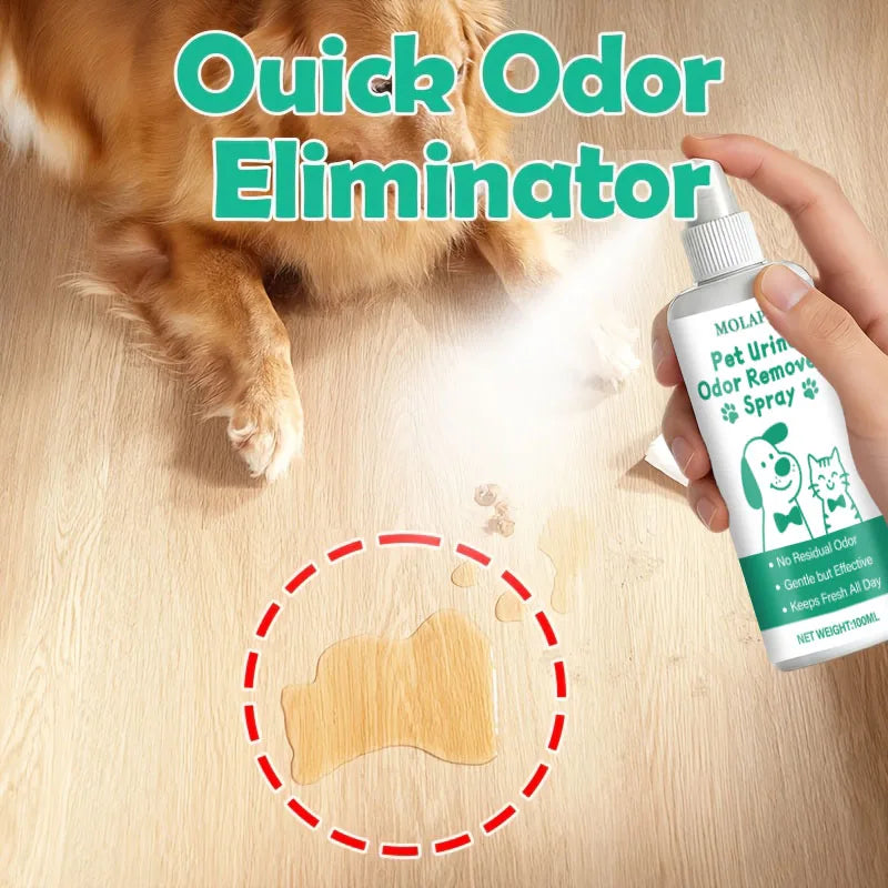 Pet Urine Stain Deodorizer Spray - Effective Odor Remove