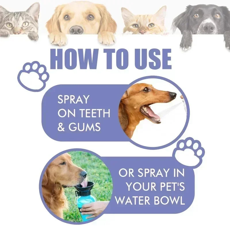 Pet Teeth Cleaning Spray Oral Care Remove Tooth Stai