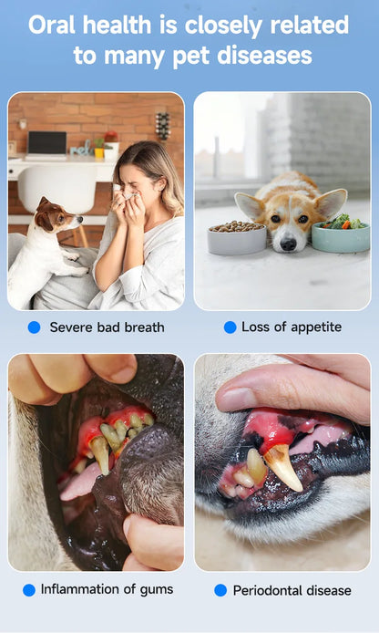 Dog Teeth Cleaning Kit Pet Ultrasonic Canine Plaque Remover