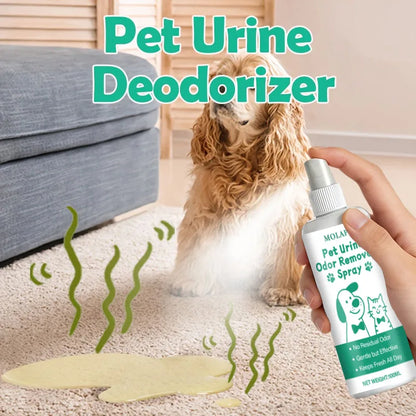 Pet Urine Stain Deodorizer Spray - Effective Odor Remove used in a living room with a dog and pet stain on the floor.