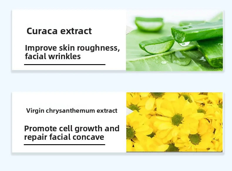 Beauty salon facials, plumping and plumping plant essences, hydrating and lightening temples, facial set