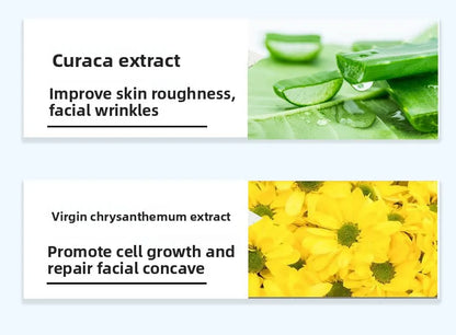 Beauty salon facials, plumping and plumping plant essences, hydrating and lightening temples, facial set
