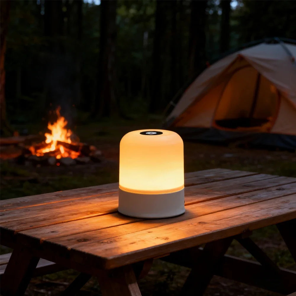 LED Night Light Dimmable Rechargeable/Plug-in Desktop Bedroom Bedside Lighting Decorative Touchscreen Reading RGB Desk Lamp