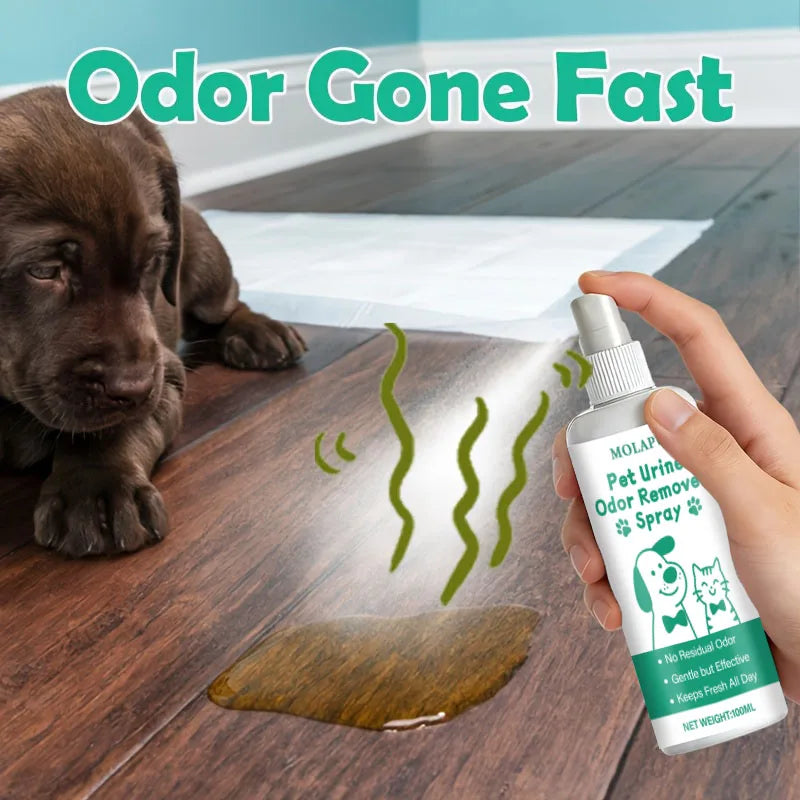 Pet Urine Stain Deodorizer Spray - Effective Odor Remove