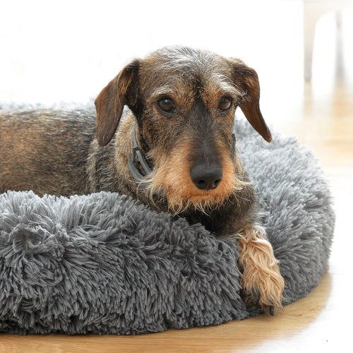 Anti-stress Pet Bed Bepess InnovaGoods Ø 60 cm - Primespot