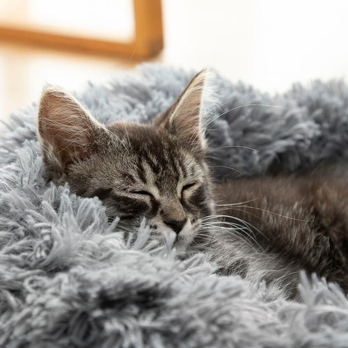 Anti-stress Pet Bed Bepess InnovaGoods Ø 60 cm Primespot