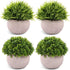 Mini Artificial Potted Plants Set of 4 Primespot